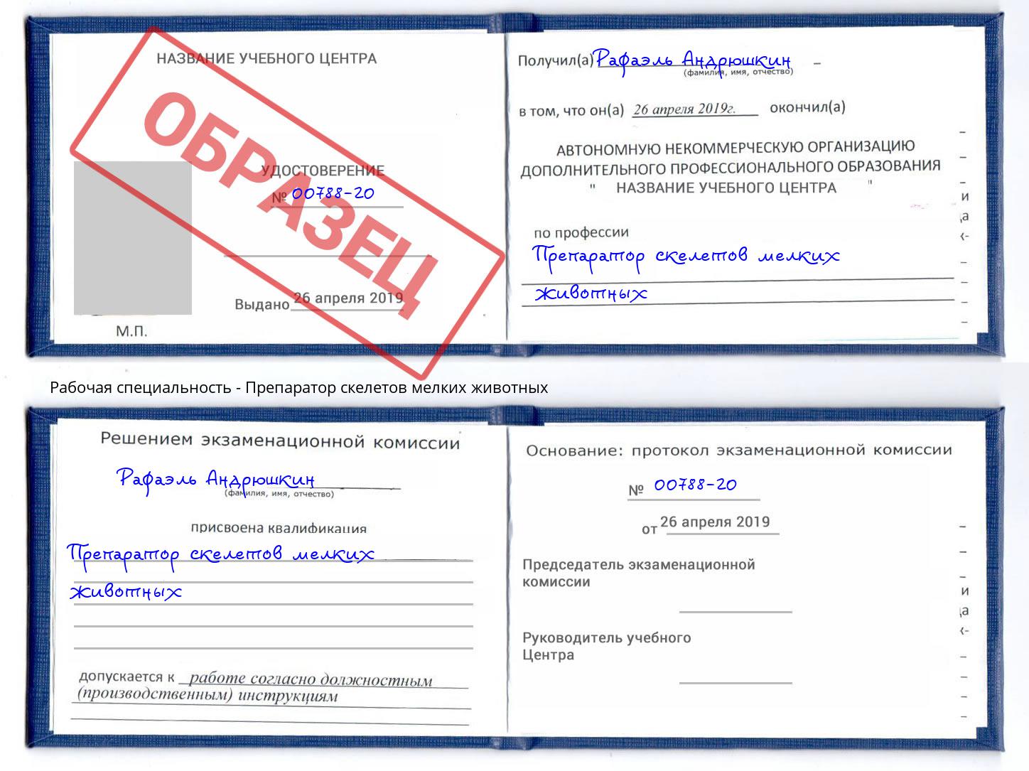 Препаратор скелетов мелких животных Владимир