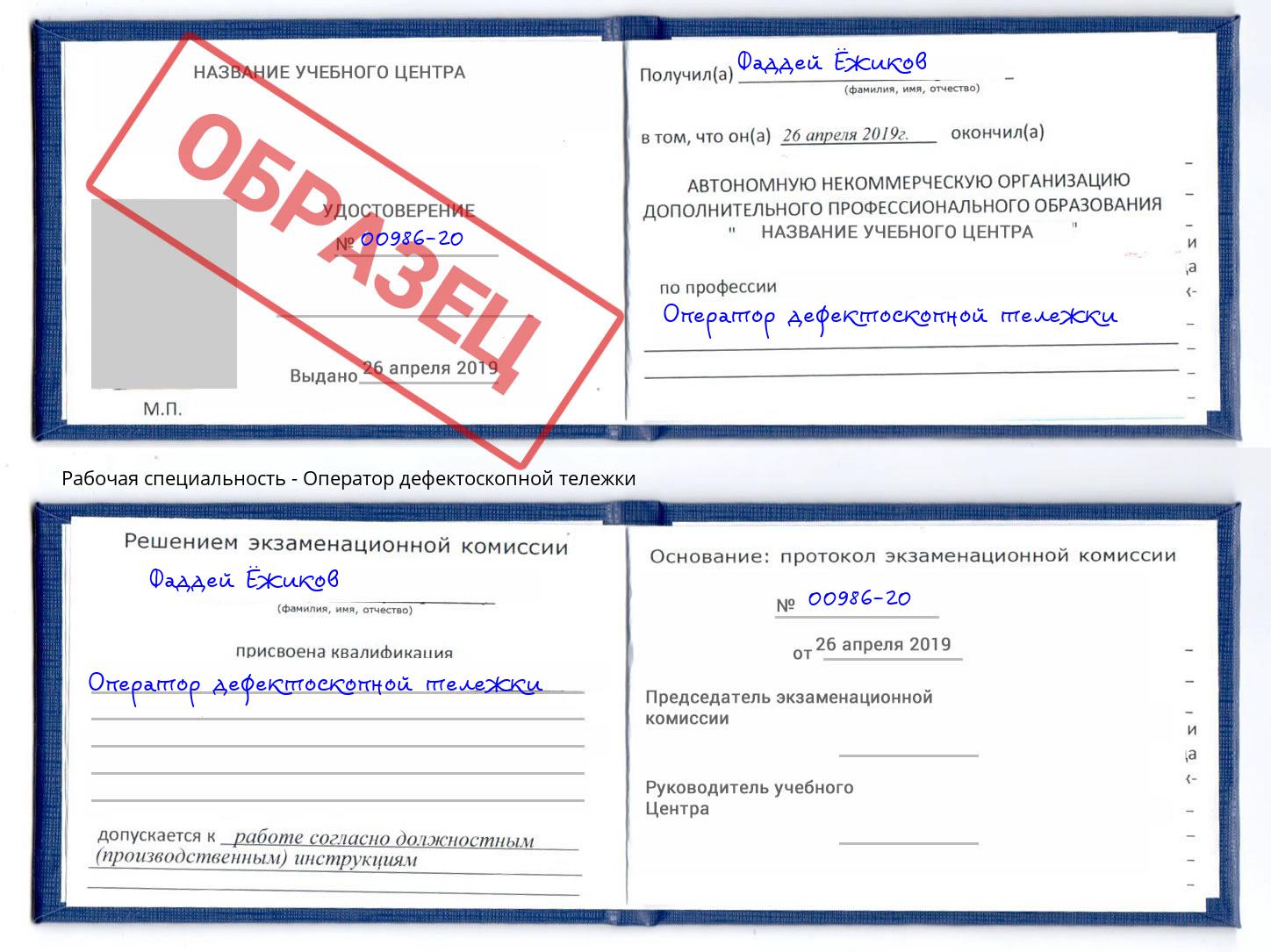 Оператор дефектоскопной тележки Владимир
