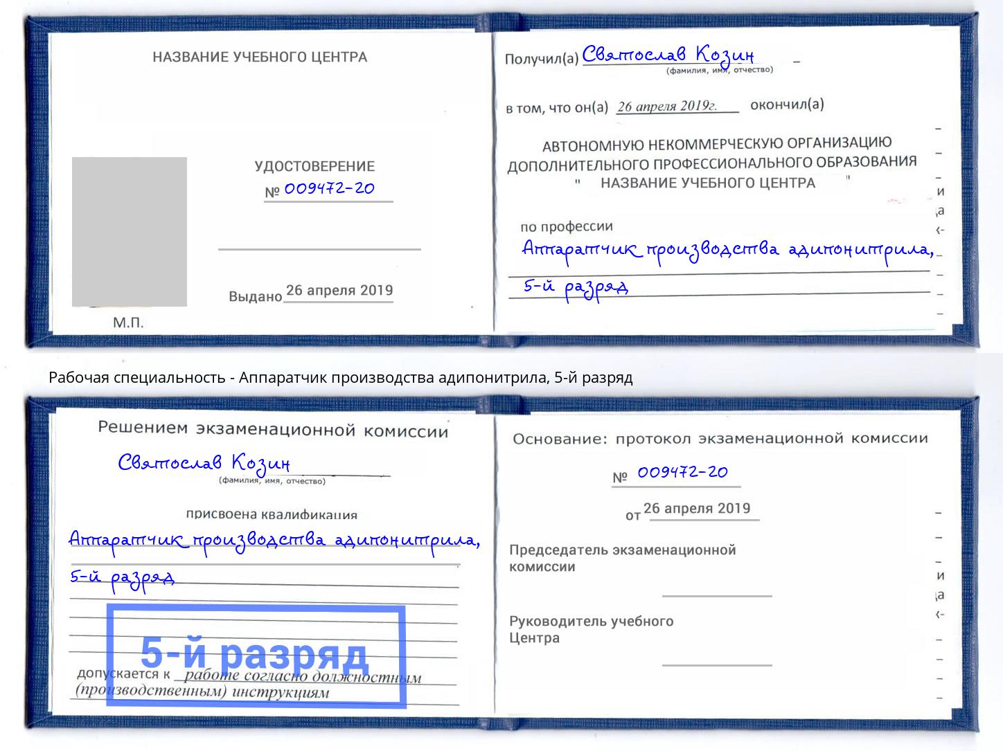 корочка 5-й разряд Аппаратчик производства адипонитрила Владимир