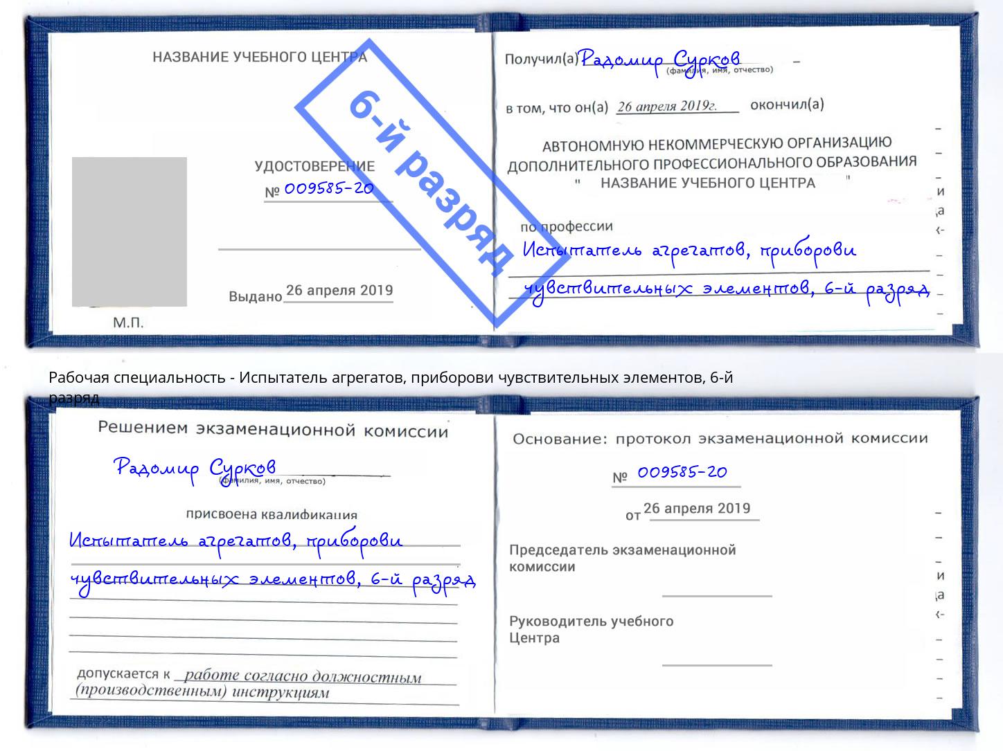 корочка 6-й разряд Испытатель агрегатов, приборови чувствительных элементов Владимир