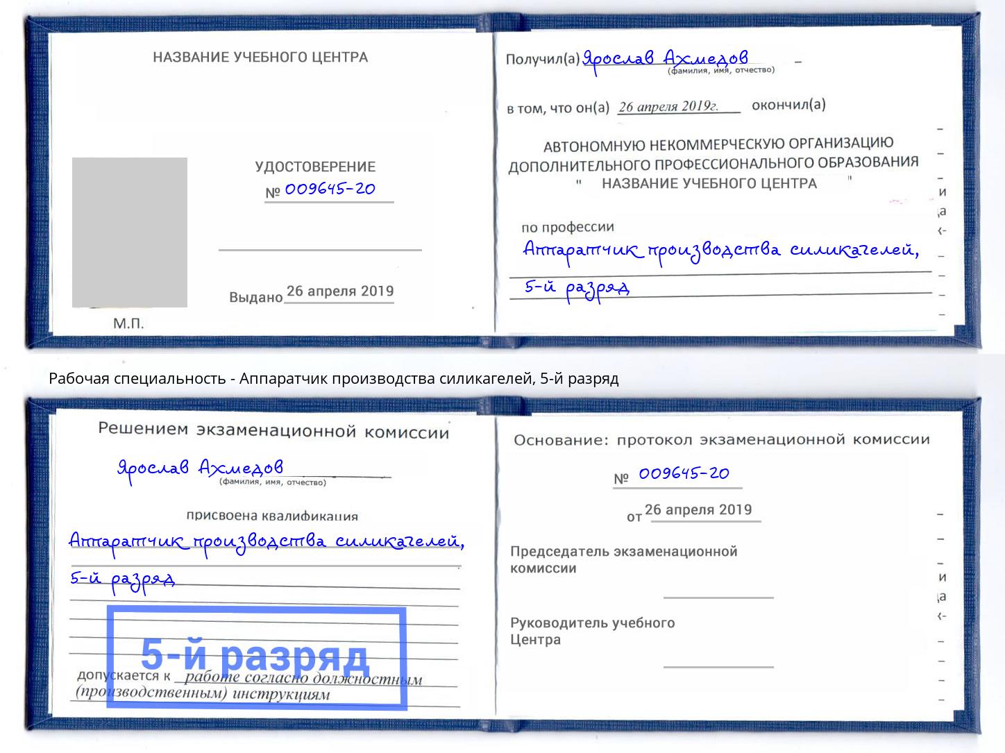 корочка 5-й разряд Аппаратчик производства силикагелей Владимир