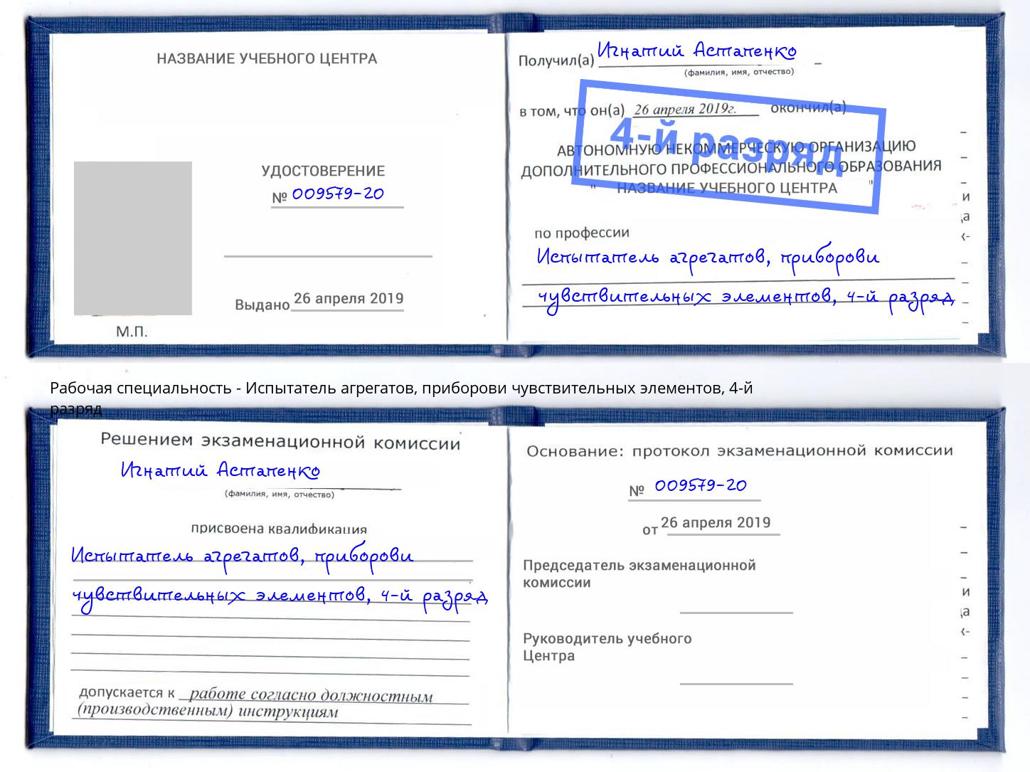 корочка 4-й разряд Испытатель агрегатов, приборови чувствительных элементов Владимир