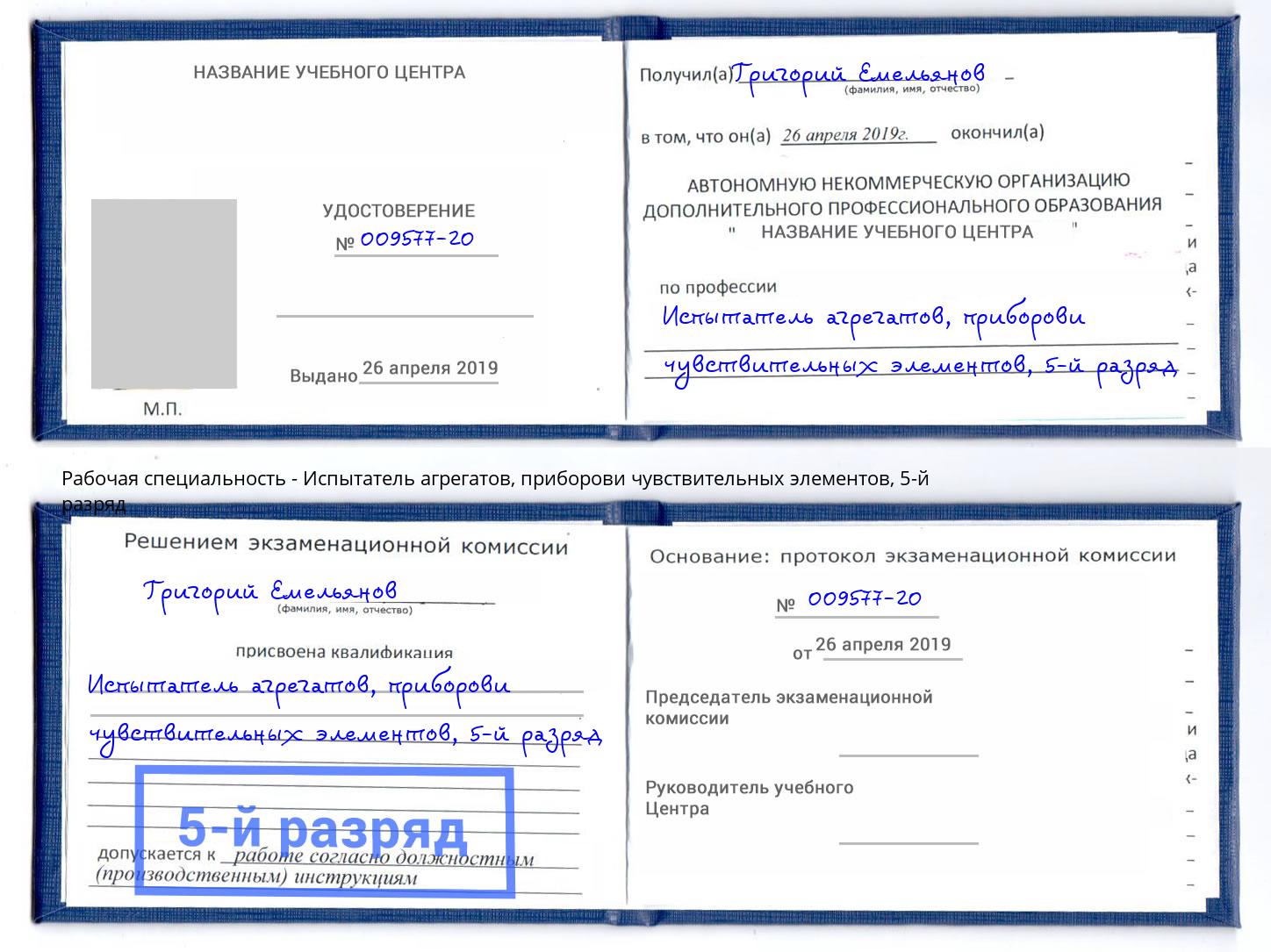 корочка 5-й разряд Испытатель агрегатов, приборови чувствительных элементов Владимир