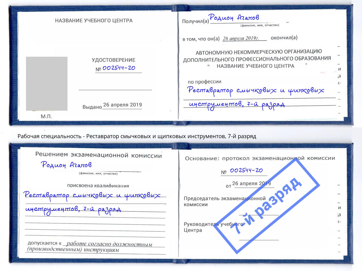 корочка 7-й разряд Реставратор смычковых и щипковых инструментов Владимир