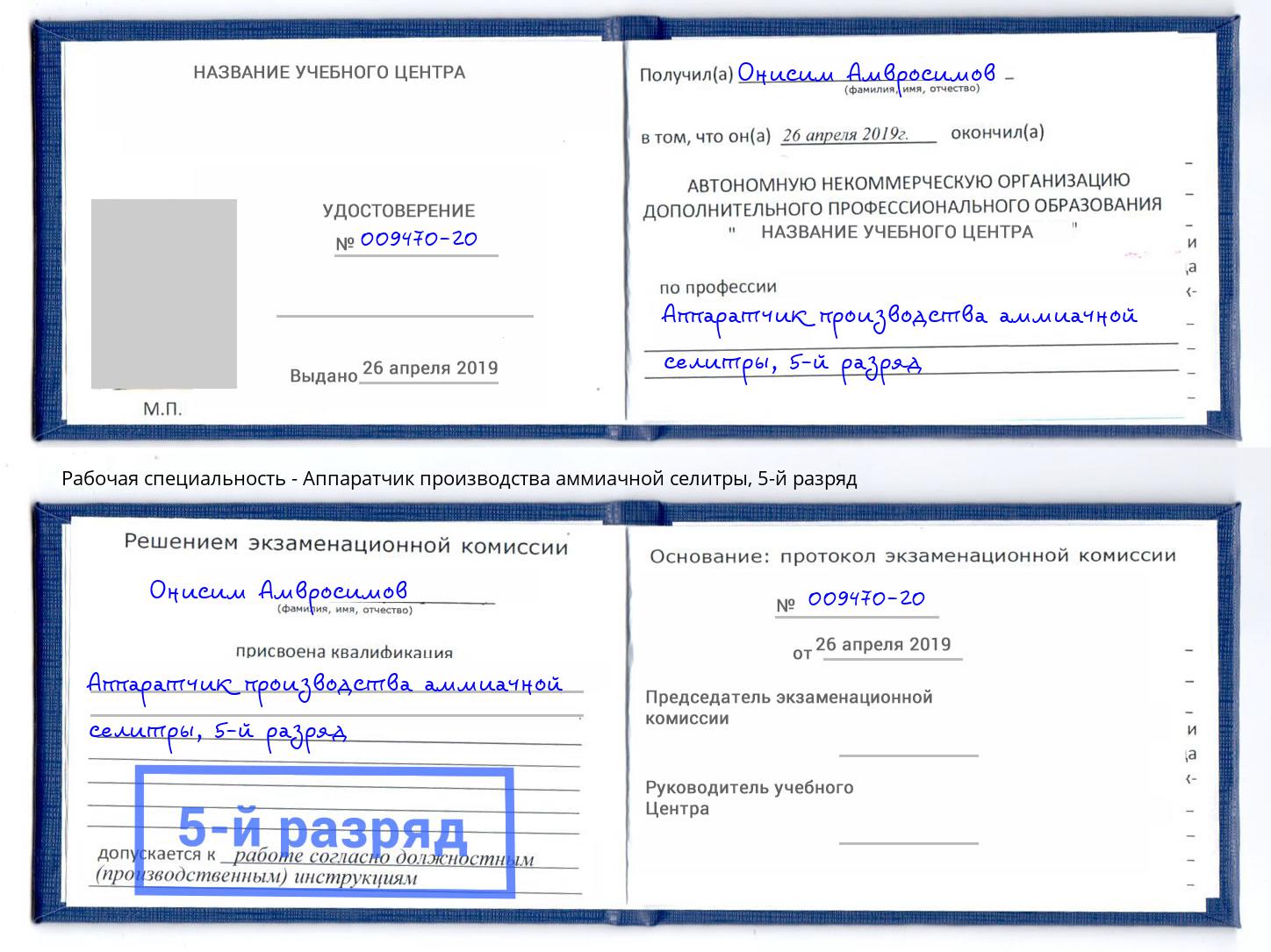 корочка 5-й разряд Аппаратчик производства аммиачной селитры Владимир