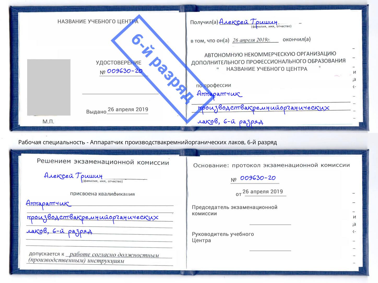 корочка 6-й разряд Аппаратчик производствакремнийорганических лаков Владимир