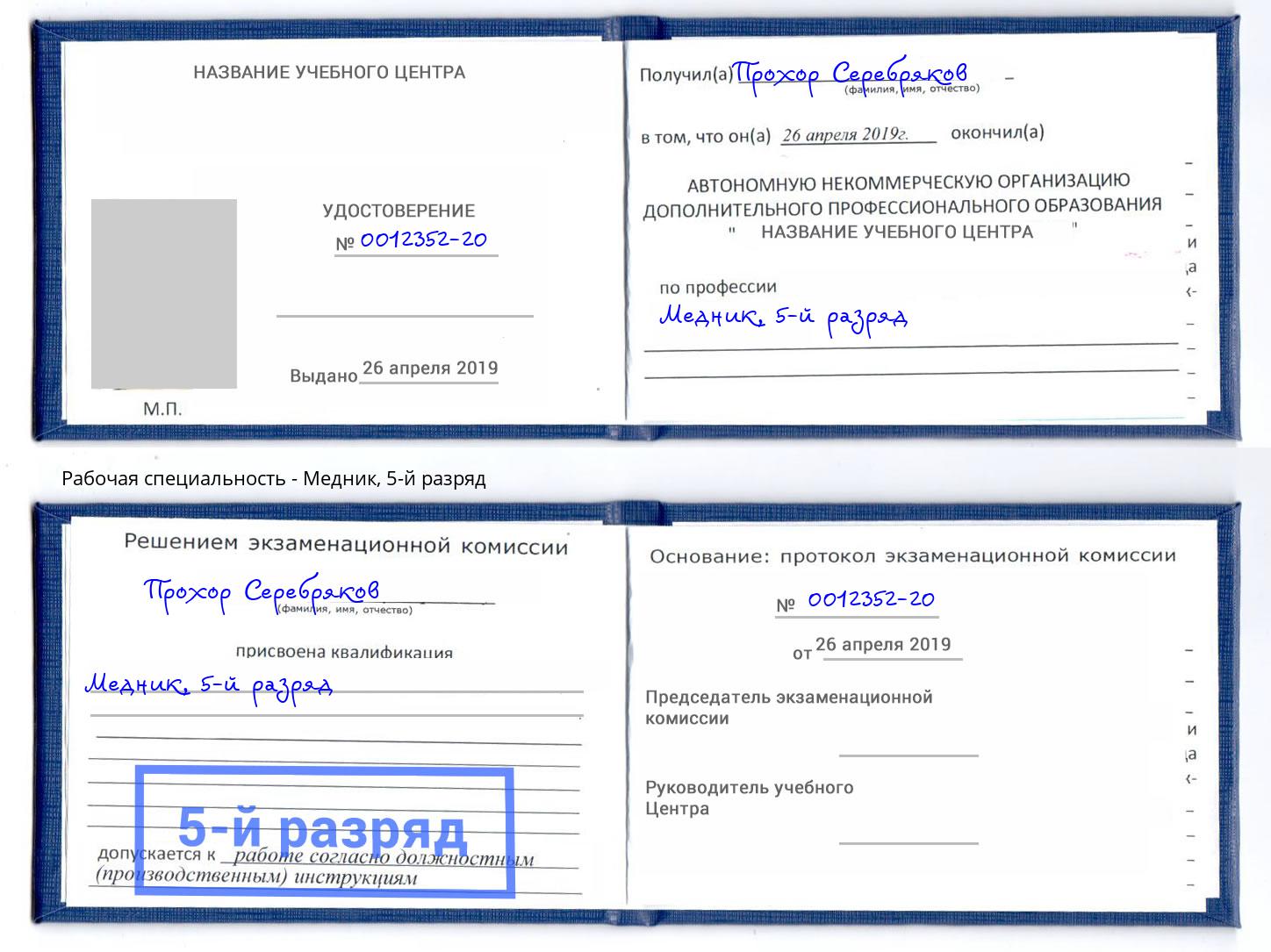 корочка 5-й разряд Медник Владимир