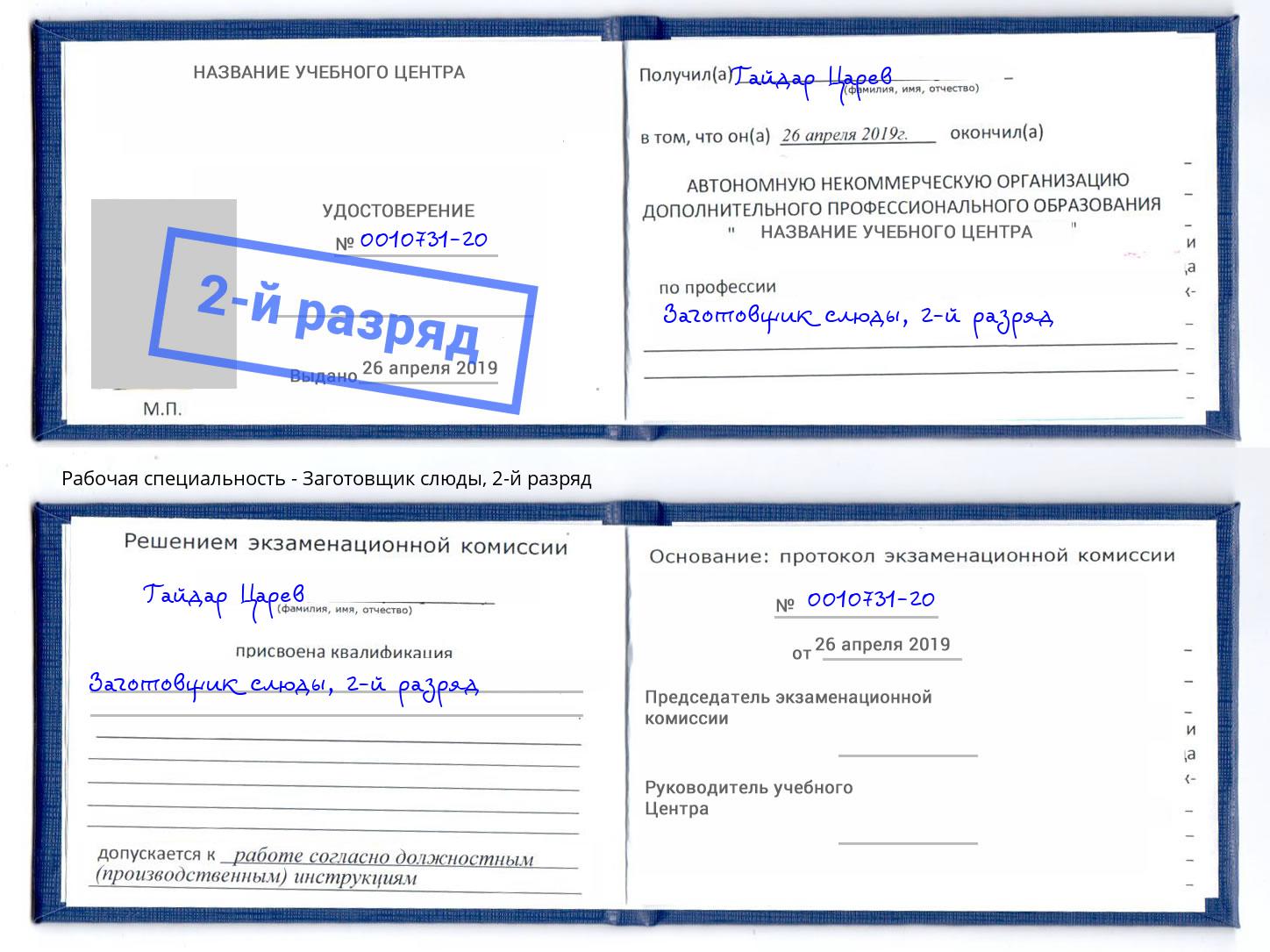 корочка 2-й разряд Заготовщик слюды Владимир