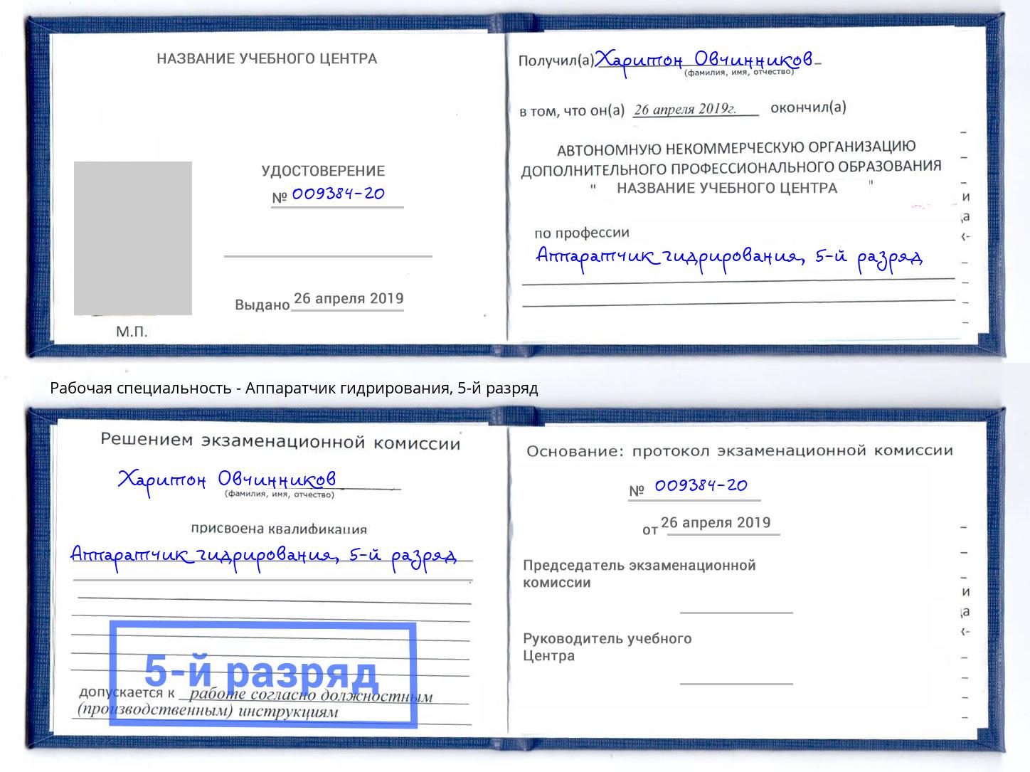 корочка 5-й разряд Аппаратчик гидрирования Владимир