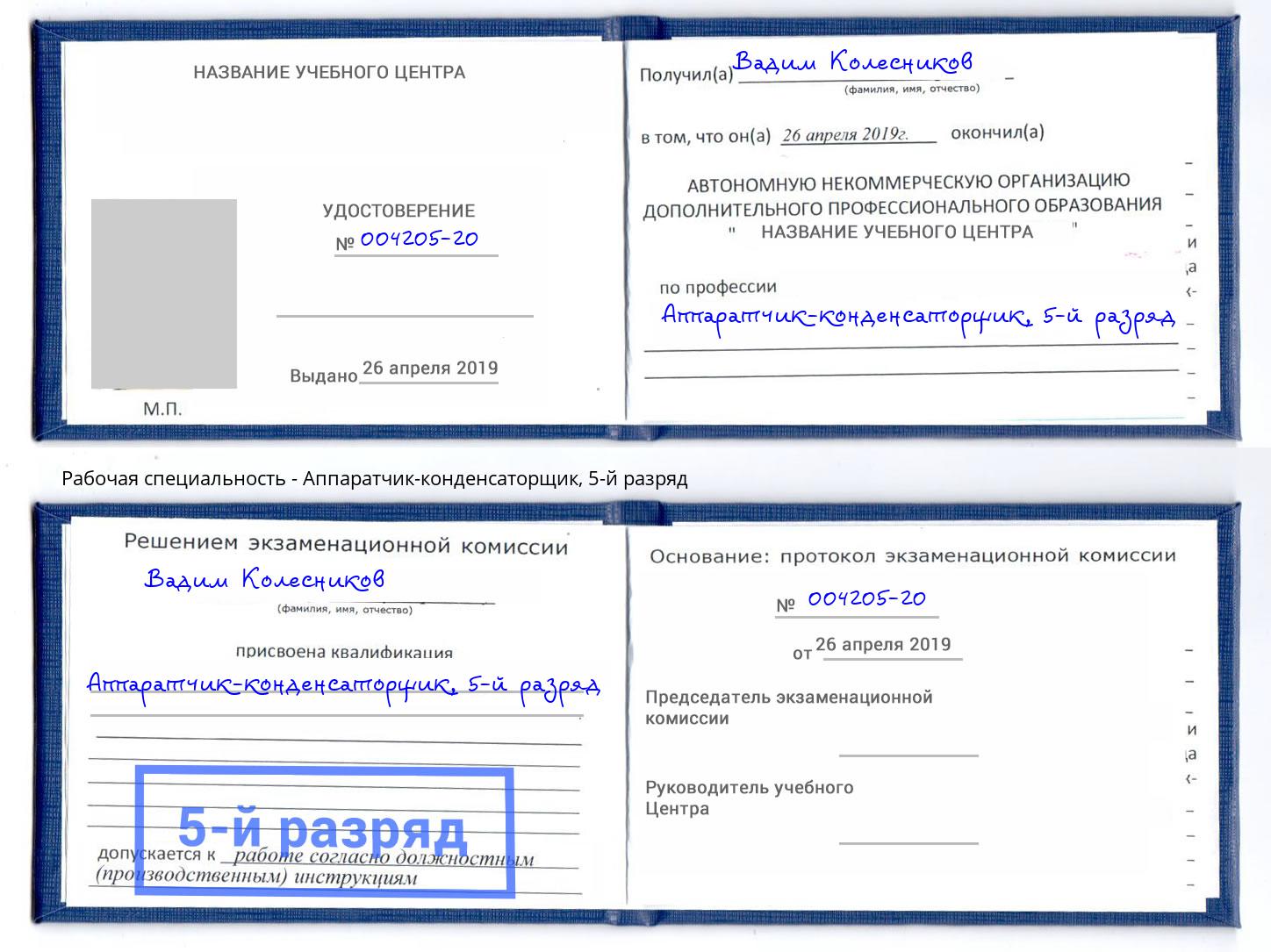 корочка 5-й разряд Аппаратчик-конденсаторщик Владимир