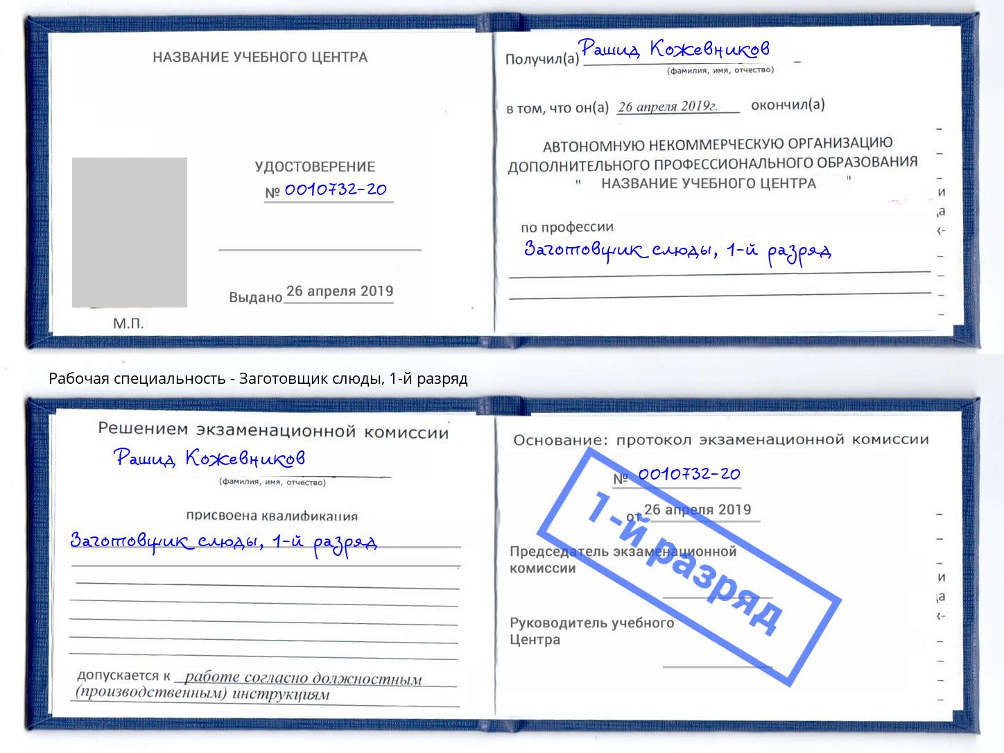 корочка 1-й разряд Заготовщик слюды Владимир