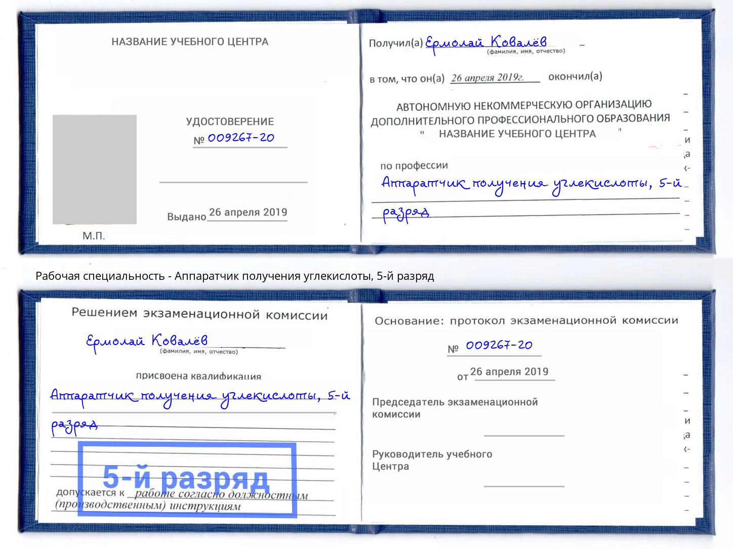 корочка 5-й разряд Аппаратчик получения углекислоты Владимир