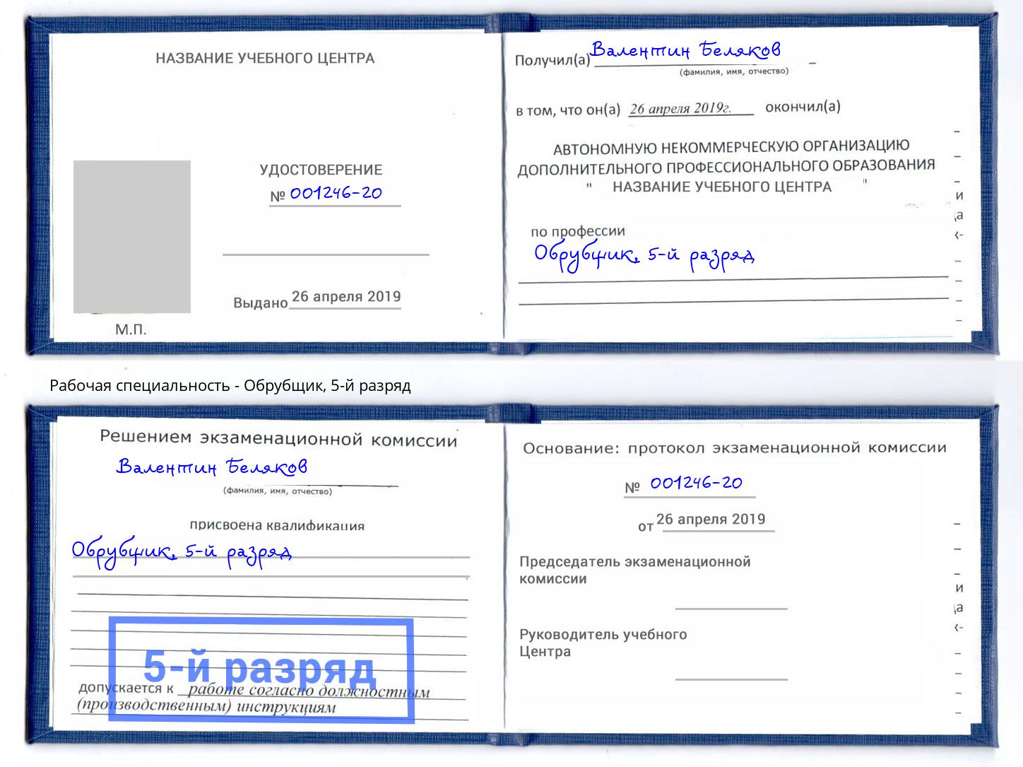 корочка 5-й разряд Обрубщик Владимир